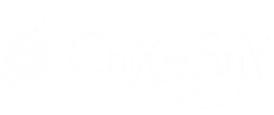 Chix with Stix